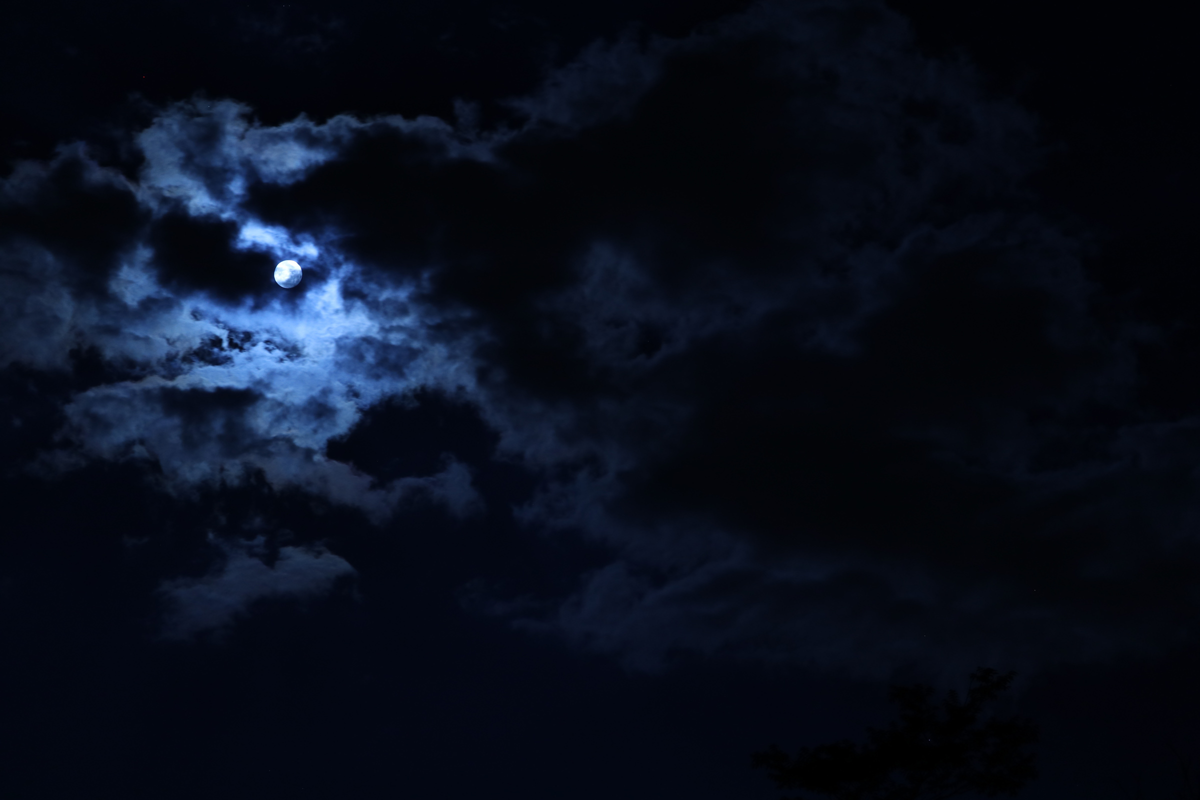 Moon in the Midnight Sky